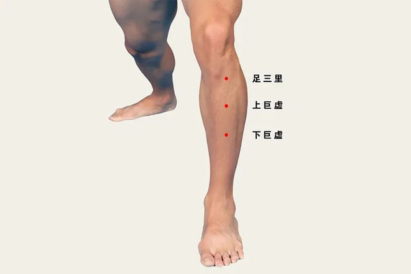 文章附图